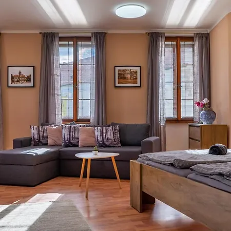 V Mlýnské Strouze * Plzeň