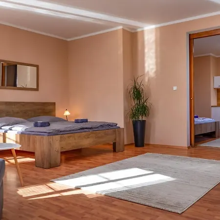 V Mlynske Strouze 比尔森