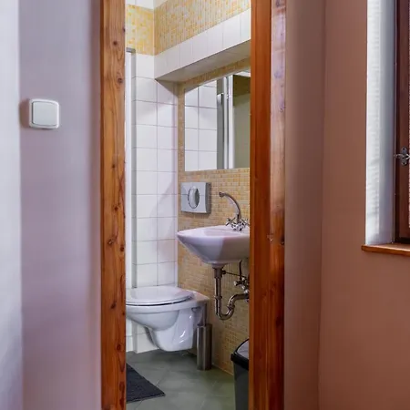 V Mlýnské Strouze Appartement Plzeň