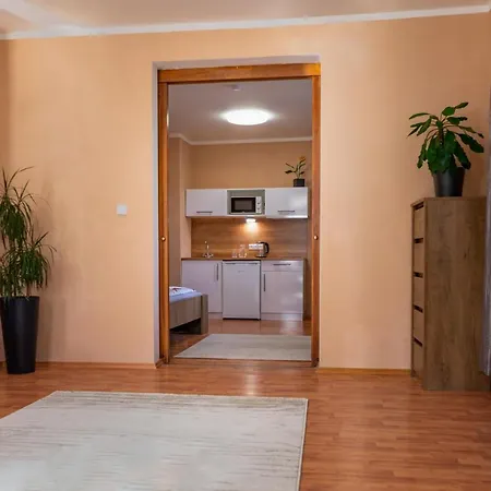 公寓 V Mlynske Strouze