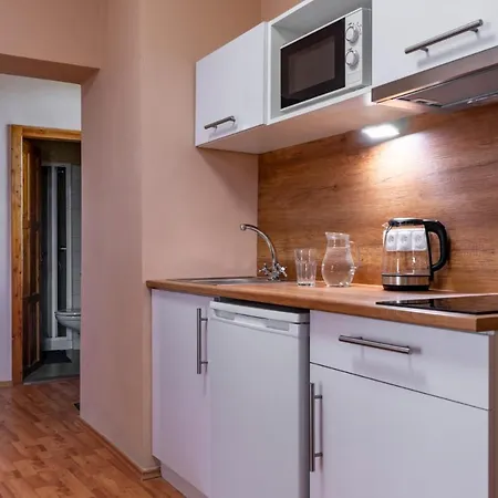 V Mlynske Strouze 公寓