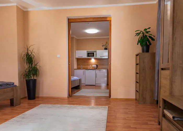 Apartment V Mlynske Strouze